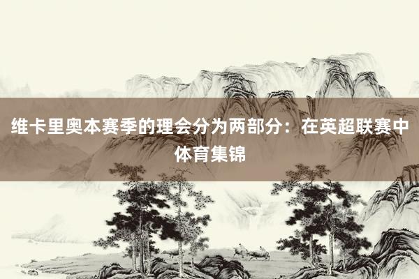 维卡里奥本赛季的理会分为两部分：在英超联赛中体育集锦