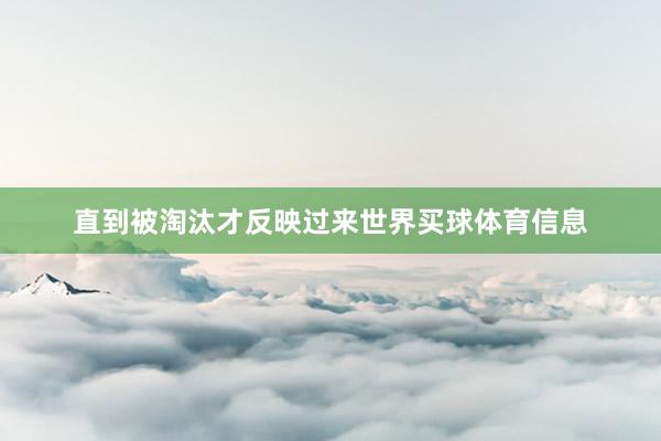 直到被淘汰才反映过来世界买球体育信息
