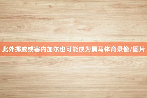 此外挪威或塞内加尔也可能成为黑马体育录像/图片